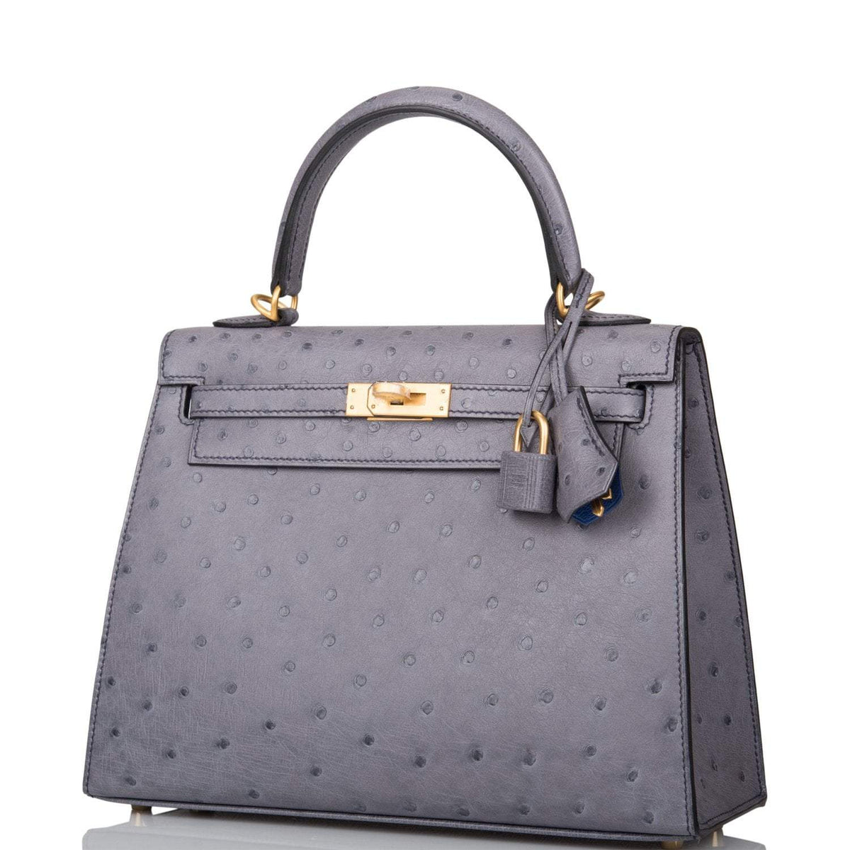 Hermes Horseshoe Stamp (HSS) Bi-Color Gris Agate and Bleu Electric Ostrich Sellier Kelly 25cm Brushed Gold Hardware